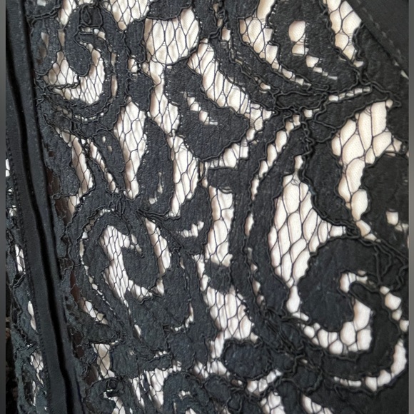 Tadashi Shoji Fit and Flare Black/Blush Stretch Lace Dress Sz 14 - Picture 4 of 8